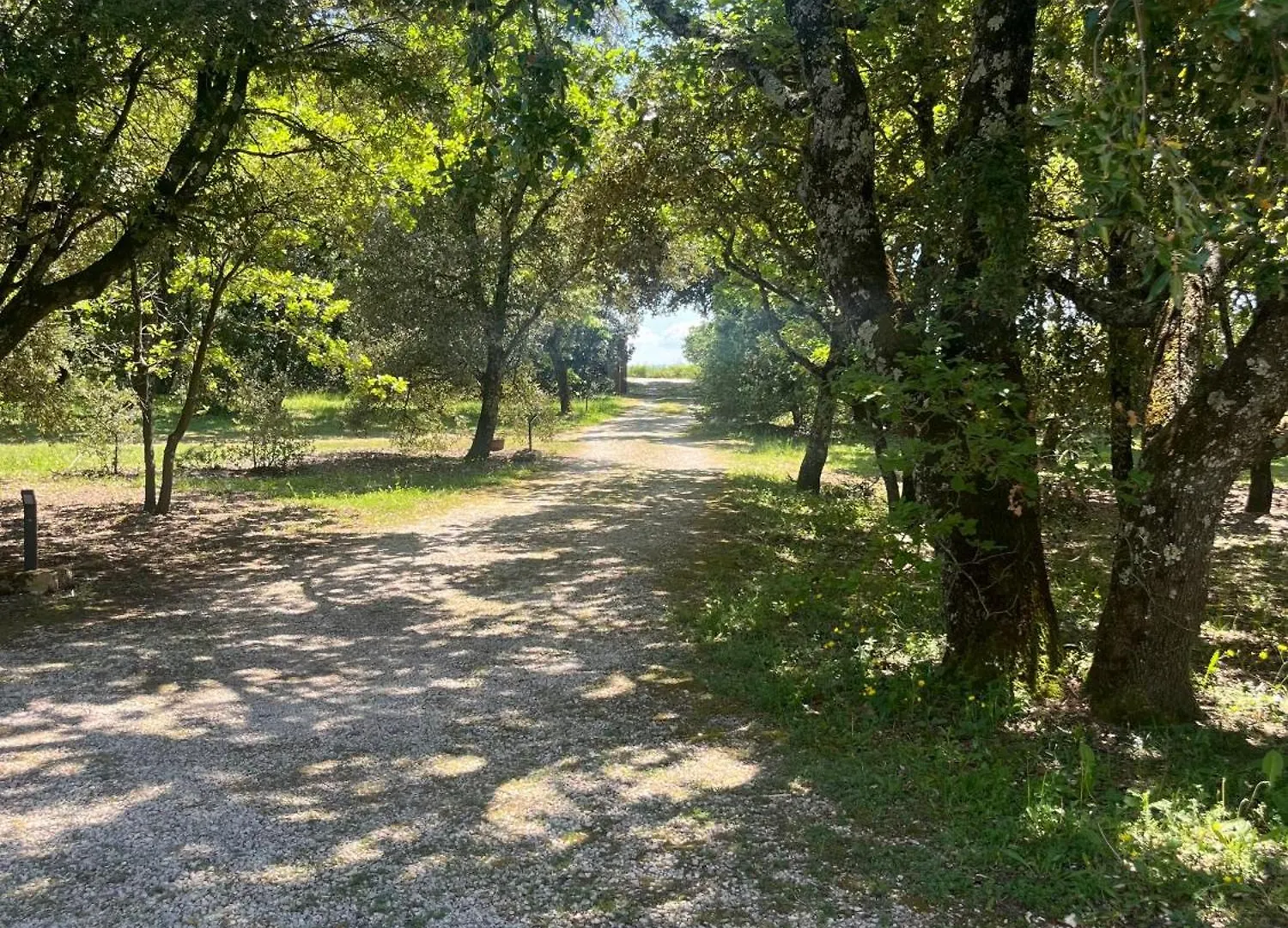 לינה וארוחת בוקר גריניאן Le Cabanon De La Bergerie צרפת